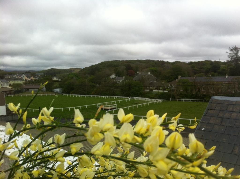 Errismore House Clifden Pokój zdjęcie